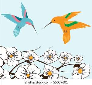 Humming birds