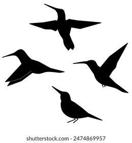 Humming birds Silhouette on white background