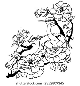 Humming birds.Birds perched on flowering branches . Set of two walking birds. Hand drawn. Vector silhouette