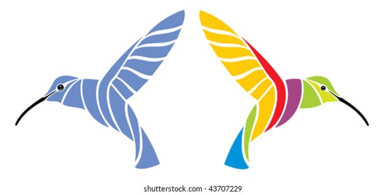 humming-bird