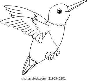 Hummingbird Animal Coloring Page for Kids