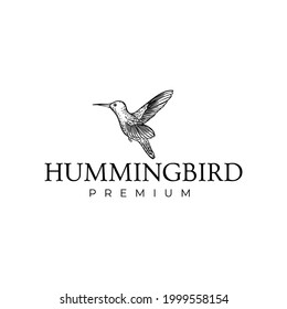 Hummingbird Animal Drawing Logo Vektorgrafik Vorlage Symbol Design