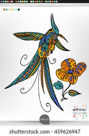 Hummingbird. Animal patterns with hand-drawn doodle waves and lines. Vector illustration in bright colors.