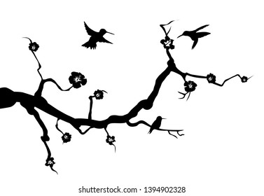 hummingbird animal wall decal wall tattoo wall sticker branch