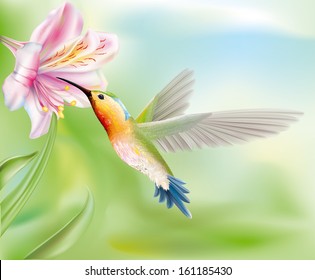 hummingbird bird flies inside the flower. vector illustration