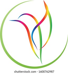 Hummingbird, bird in flight, hummingbird logo