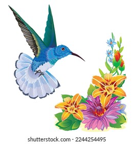 hummingbird bird flutters over a beautiful flower, isolated object on a white background, vector illustration, eps