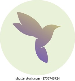 hummingbird bird little fly logo icon
