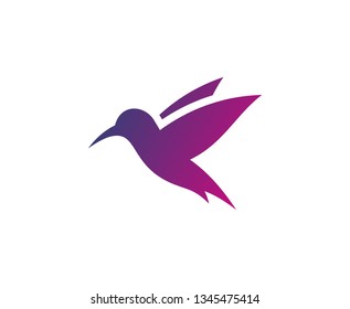 Hummingbird bird logo 