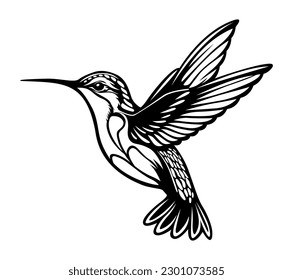 Hummingbird bird on white background.Elements for design.