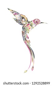 Hummingbird bird. Paradise bird. Silhouette collected from the plant ornament in bright colors.