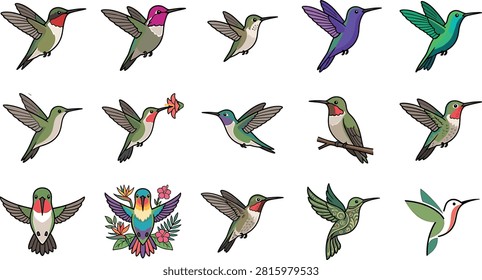 Hummingbird bird vector collection featuring flying ruby-throated hummingbirds perched garden birds and tropical hibiscus blossom stickers.