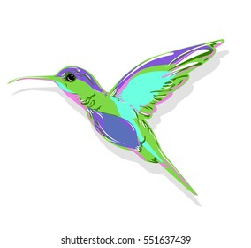 Hummingbird Bird Vector Illustration Bird Stock Vector (Royalty Free ...