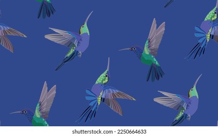 Hummingbird bird vector pattern in vintage style