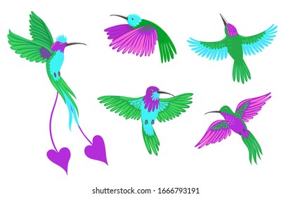 Hummingbird birds set isolated on white background. Vector graphics.