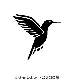 Hummingbird black glyph icon. Small exotic bird, Ecuador inhabitant. South and North America fauna. Zoology, ornithology silhouette symbol on white space. Tiny colibri vector isolated illustration