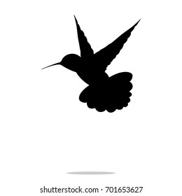 Hummingbird black silhouette colibri bird animal. Vector Illustrator.