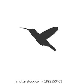 Vector de silueta negra de colibrí sobre fondo blanco