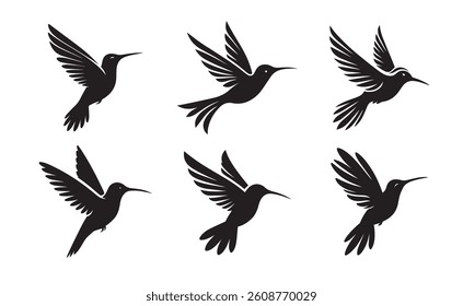 Hummingbird black solid silhouette bundle isolated on white background, bird clip art logo icon set
