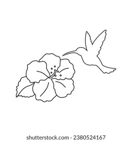 Hummingbird butterflies with Hibiscus flat line icon. Vector illustration