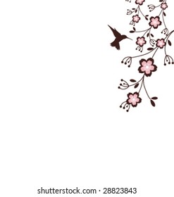 A hummingbird and cherry blossom Background with copy-space