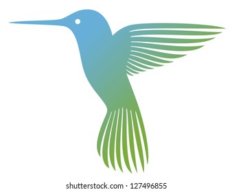 hummingbird (colibri)