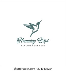 Hummingbird Colibri Bird Logo Design Vector Image