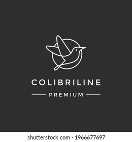 hummingbird colibri bird logo icon line abstract outline monoline vector illustration on black background