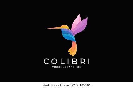 hummingbird colibri bird logo icon line abstract outline monoline vector illustration
