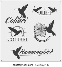 Siluetas de pájaro colibri, logos, emblemas y elementos de diseño. 