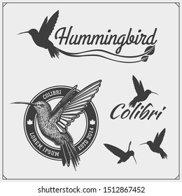 Hummingbird colibri bird silhouettes, logos, emblems and design elements. 