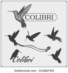 Hummingbird colibri bird silhouettes, logos, emblems and design elements. 