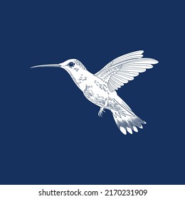 Hummingbird colibri bird. Vector illustration. Isolated on blue background. Interior, fabric print, stamp, engraving, stencil, packaging