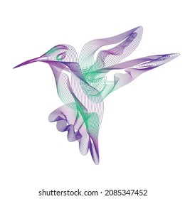 Hummingbird Colibri Blend Line Art 3d Vector Illustration