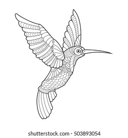 Hummingbird colibri coloring book for adults vector illustration. Anti-stress coloring for adult. Tattoo stencil. Zentangle style. Black and white lines. Lace pattern