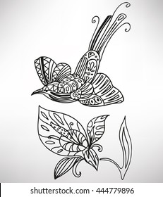 Hummingbird (colibri). Hand-drawn with ethnic pattern. Coloring page - isolated on a white background. Zendoodle patterns. Vector illustration.