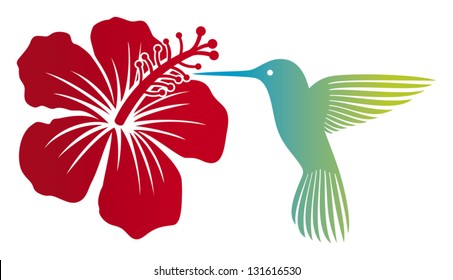 hummingbird (colibri) and red hibiscus flower 