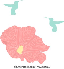 Hummingbird, Colibri, Vector Collection of Bird Silhouettes.