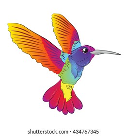 Hummingbird (colibri) vector illustration bird