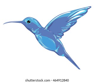 Hummingbird (colibri) vector illustration bird
