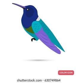 Hummingbird color flat icon for web and mobile design