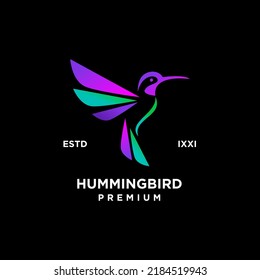Hummingbird color full logo icon design illustration