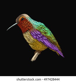 Hummingbird with colorful glossy plumage. Colorful bird illustration on black background. Vector drawing of colibri for greeting cards, invitations, prints, web projects. Bright and vivid colors. 