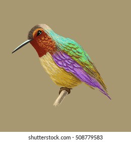 Hummingbird with colorful glossy plumage. Colorful bird illustration on beige background. Vector drawing of colibri for greeting cards, invitations, prints, web projects. Bright and vivid colors. 