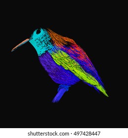 Hummingbird with colorful glossy plumage. Modern pop art style. Colorful bird, black background. Vector illustration of colibri for greeting card,invitation,print,web project. Bright and vivid colors.