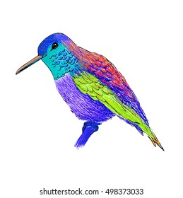 Hummingbird with colorful glossy plumage. Modern pop art style. Colorful bird, white background. Vector illustration of colibri for greeting card,invitation,print,web project. Bright and vivid colors.