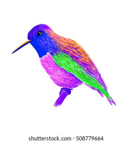 Hummingbird with colorful glossy plumage. Modern pop art style. Colorful bird, white background. Vector illustration of colibri for greeting card,invitation,print,web project. Bright and vivid colors.