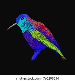 Hummingbird with colorful glossy plumage. Modern pop art style. Colorful bird, black background. Vector illustration of colibri for greeting card,invitation,print,web project. Bright and vivid colors.