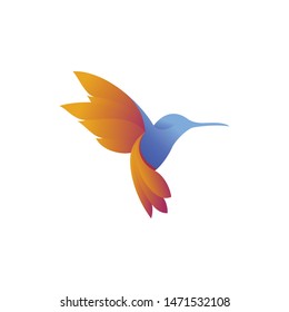 hummingbird with colorful logo template