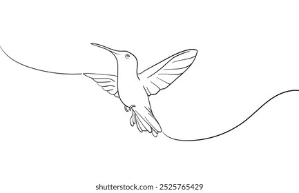 Dibujo continuo del arte de la línea del colibrí aislado en el fondo blanco. Dibujo de arte de línea de Colibri. Ilustración vectorial	